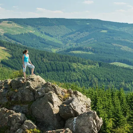 Zum Eiling Lejlighed