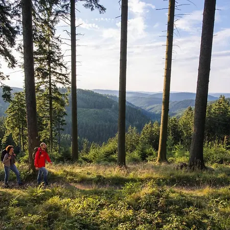 Zum Eiling 아파트 베슈트비크