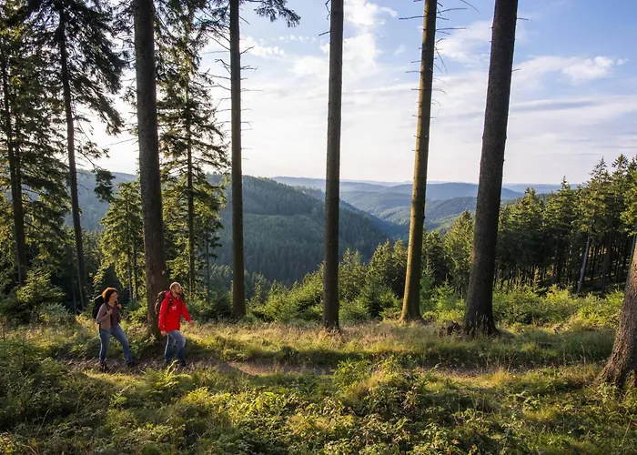 Zum Eiling Διαμέρισμα Bestwig